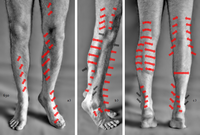 Analyse zu aktivierten Beinmuskeln